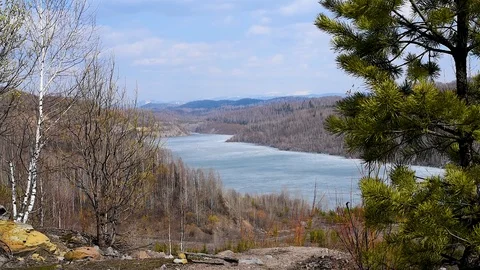 It's spring. Blossoming buds and leaves on the background of a mountain lake in  Stock Footage 108012293