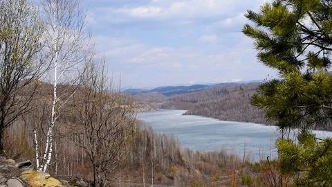 It's spring. Blossoming buds and leaves on the background of a mountain lake in  Stock Footage 108012303