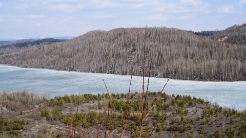 It's spring. Blossoming buds and leaves on the background of a mountain lake in  Stock Footage 111144919
