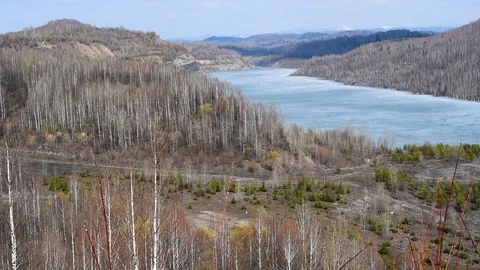 It's spring. Blossoming buds and leaves on the background of a mountain lake in  Stock Footage 111144920