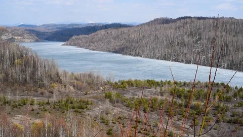 It's spring. Blossoming buds and leaves on the background of a mountain lake in  Stock Footage 111144922