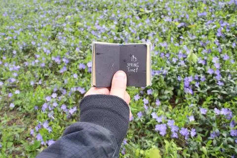 Its spring time, book with text and spring field with blue flowers Stock Photos