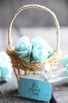 Its spring Time concept, spring flowers in a small basket Stock Photos