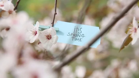Its Spring Time creative concept 스톡 동영상 76025285