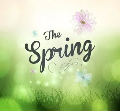 Its Spring Time Illustrazione stock