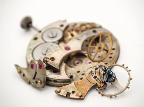 It’s Spring Time! 写真素材