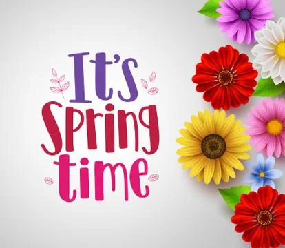 It's spring time text in empty white background vector template Stock Illustration