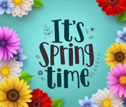 It's spring time text vector greeting design with colorful spring flower Stock Illustration