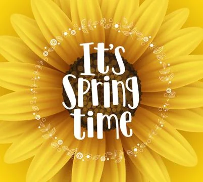 It's spring time vector banner design with typography text and flower Stock Illustration
