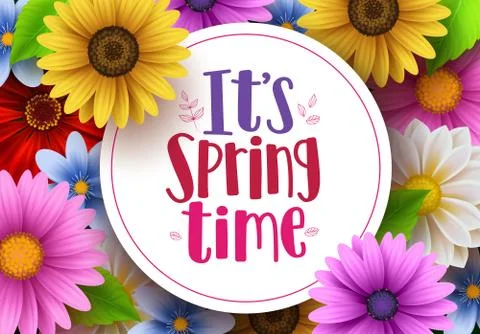 It's spring time vector greeting background design template Stock Illustration