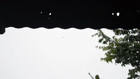 It's starting to rain Video stock 172542998