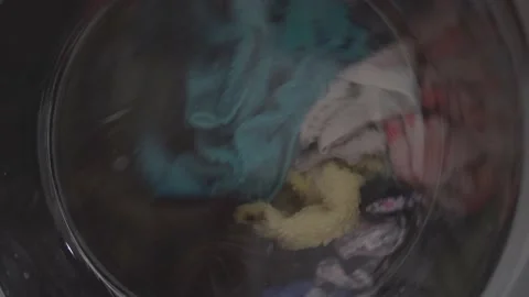 It's time to clean your clothes Stock Footage 170420972