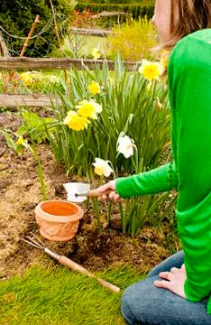 It's time to plant Stock Photos