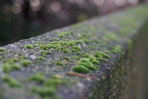 It's a tiny world Stock Photos