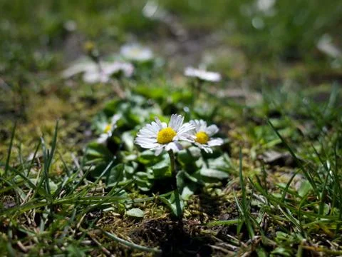 It's a tiny world Stock Photos