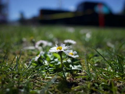 It's a tiny world Stock Photos