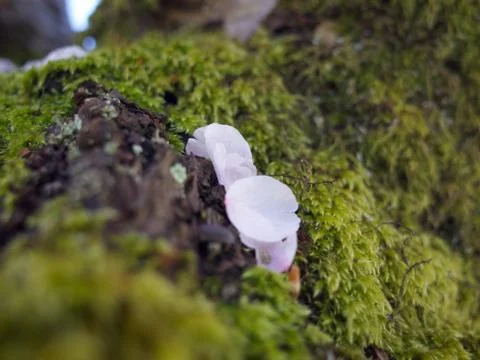 It's a tiny world Stock Photos