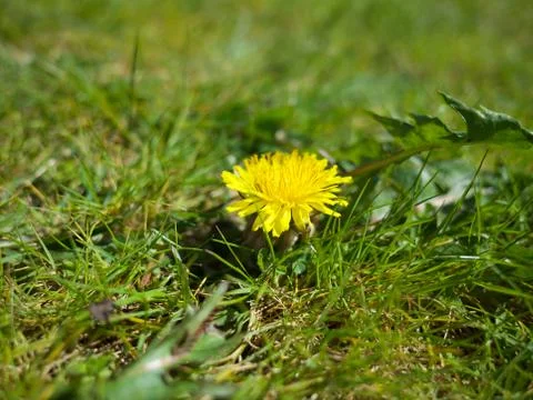 It's a tiny world Stock Photos