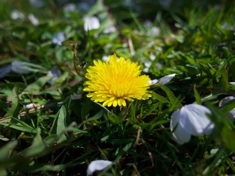 It's a tiny world Stock Photos