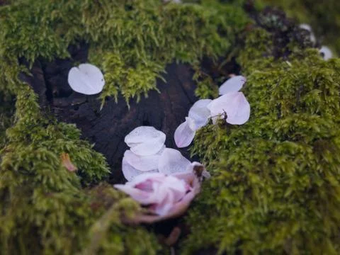 It's a tiny world Stock Photos