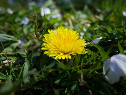 It's a tiny world Stock Photos