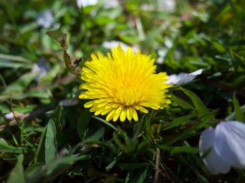 It's a tiny world Foto stock