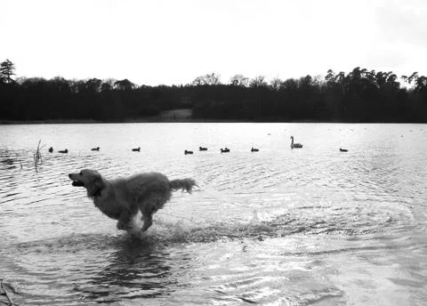 It's too cold Stock Photos