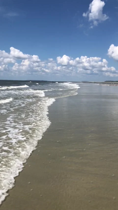 It’s a walk on the Beach 스톡 동영상 194026983