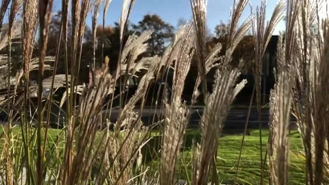 It's a windy day in Dublin. Stock Footage 285337772