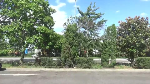 It's a windy day on the road 库存影片 335700265