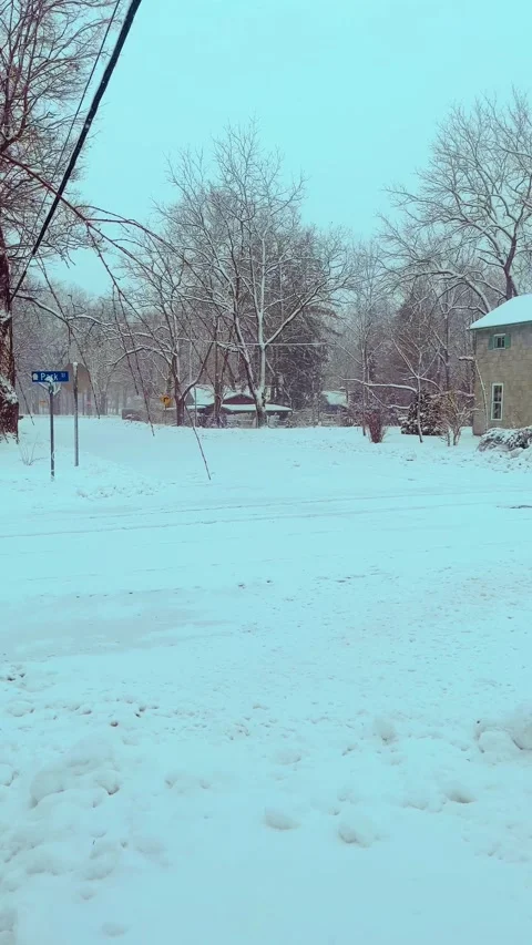 It's winter Stock Footage 279522748