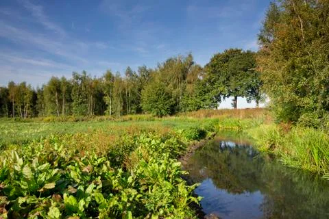 The Itterbeek river Stock Photos
