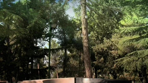 Itzhak Rabin's Grave 2 Stock Footage 609747