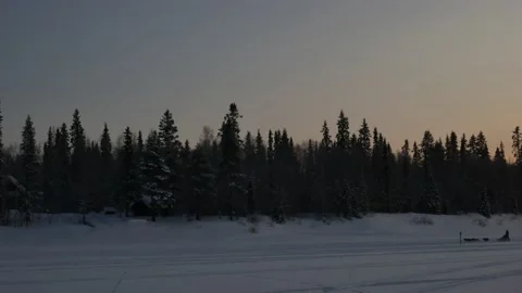 Ivalo river dogs Stock Footage 141213761