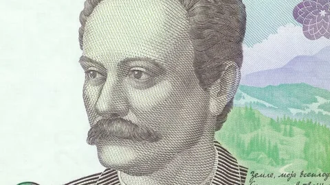 Ivan Franko Portrait Close-up to Full Twenty Hryvnia Banknote View Stock Footage 303346985
