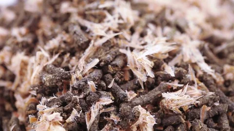 Ivan tea with pine cones Stock-Footage 82746205