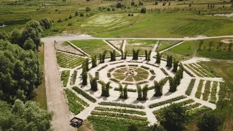 Ivan Zahorui Video stock 166533711