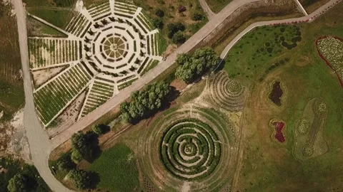 Ivan Zahorui Video stock 166533759