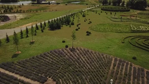 Ivan Zahorui Video stock 166534455