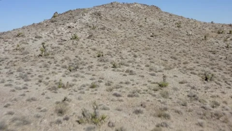 Ivanpah Solar Electric Generating System Concentrated rmal Plant Mojave Desert Stockbeeldmateriaal 335259132