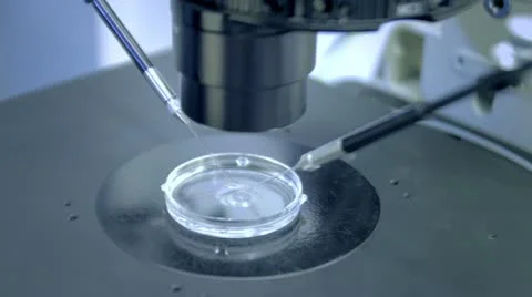IVF 10 - In-vitro fertilisation Stock Footage 10898933