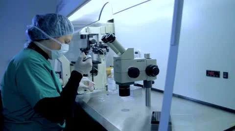 IVF 17 - In-vitro fertilisation Stock Footage 24260559