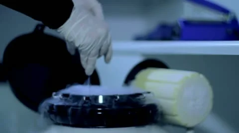 IVF 4 - In-vitro fertilisation Stock Footage 10899012