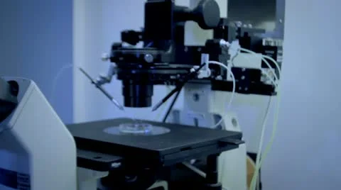 IVF 8 - Special microscope equipment for in-vitro fertilisation in action Stock Footage 10899006