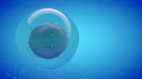 IVF cell and needle injecting, 3D CGI render with blue color Stock Footage 121862058