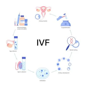 IVF vector illustration Illustrazione stock