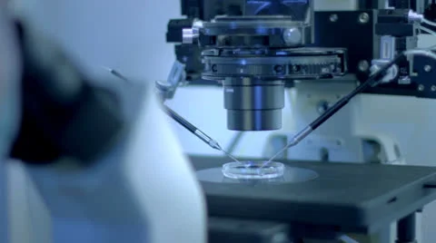 IVF - In-vitro fertilisation Stock Footage 24456490