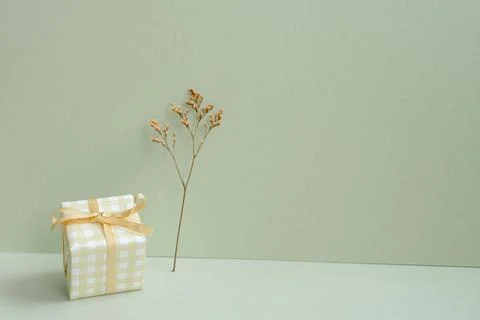 Ivory check pattern gift box and dry flower on mint green background Stock Photos
