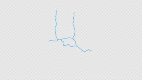 Ivory Coast Country Line Map Self Drawing Animated Overlay, Alpha 4K 스톡 동영상 340290831