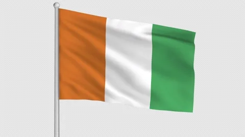 Ivory Coast Flag 動画素材 219406932